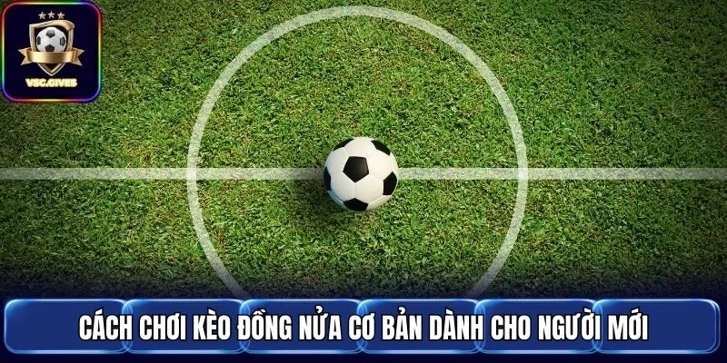 Cách chơi kèo đồng nửa cơ bản dành cho người mới