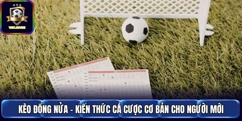 Kèo Đồng Nửa - Kiến Thức Cá Cược Cơ Bản Cho Người Mới
