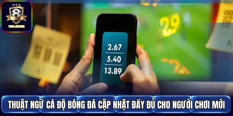 Thuật Ngữ Cá Độ Bóng Đá Cập Nhật Đầy Đủ Cho Người Chơi Mới