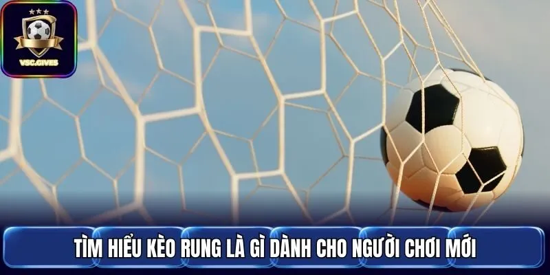 Tìm hiểu kèo rung là gì dành cho người chơi mới