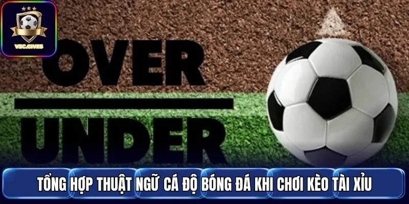 Tổng hợp thuật ngữ cá độ bóng đá khi chơi kèo tài xỉu